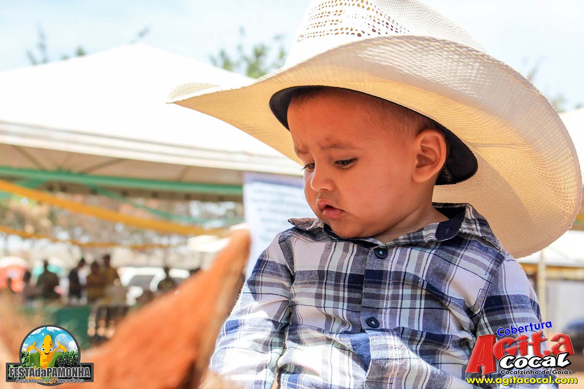 Festa da Pamonha (3 Dia)